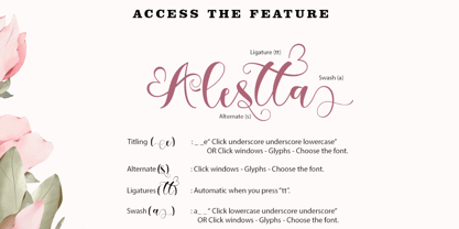 Alestha Butterfly Font Poster 5