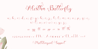 Alestha Butterfly Font Poster 7