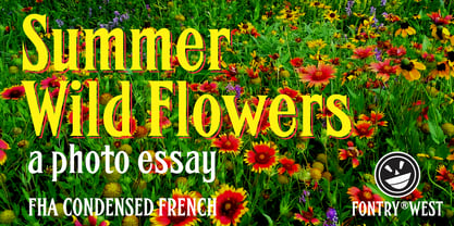 FHA Condensed French Font Poster 3