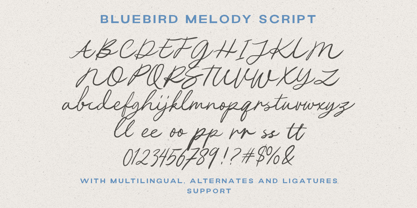 Bluebird-Melodie Font Poster 8