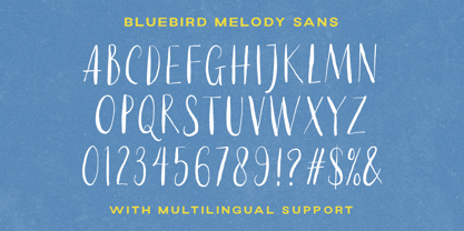 Melodie des Blauen Vogels Font Poster 7