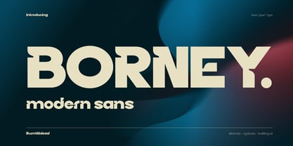 Borney Font Poster 1