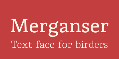 Mergansers Font Poster 1