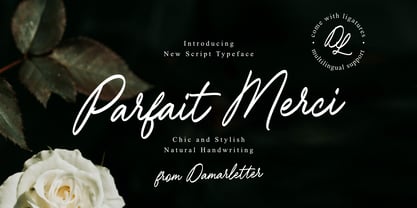 Parfait Merci Font Poster 1