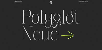 Polyglot Neue Font Poster 4