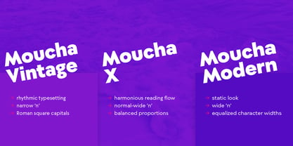 Moucha Font Poster 2