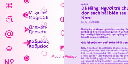 Moucha Font Poster 8