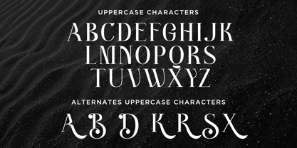 Better Authentic Font Poster 7