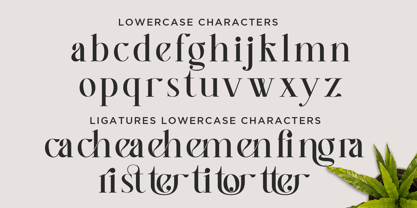 Better Authentic Font Poster 8