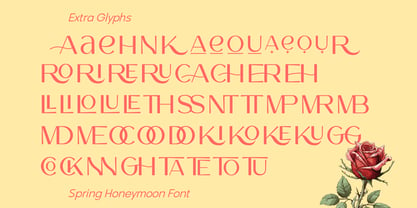 Spring Honeymoon Font Poster 7