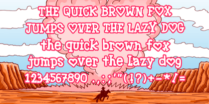 Cowboy Valentine Font Poster 4