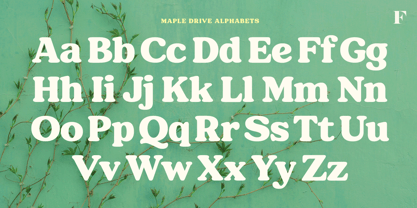 Maple Drive Font Poster 3