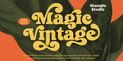 Magic Vintage Fuente Póster 1