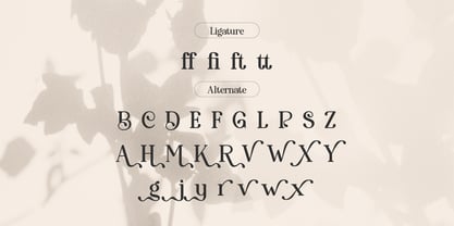 Davey Veretti Font Poster 13