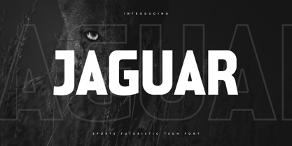 Jaguar Style Font Poster 1