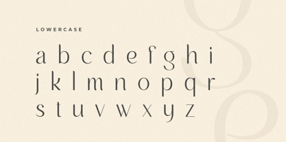 Salovage Font Poster 10