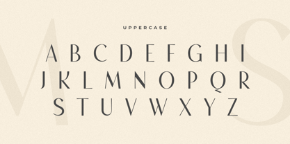 Salovage Font Poster 11