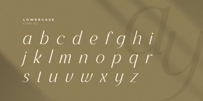 Salovage Font Poster 12