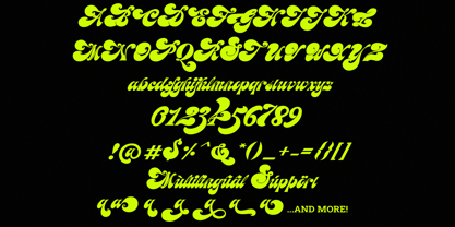 Meastro Font Poster 13