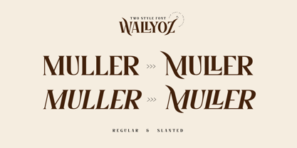 Wallyoz Font Poster 2