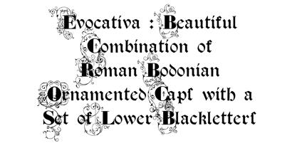 Evocativa Font Poster 2