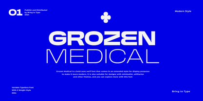 Grozen Medical Font Poster 1