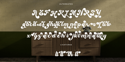 Manekin Font Poster 11
