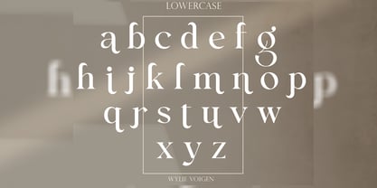 Wylie Voigen Font Poster 3