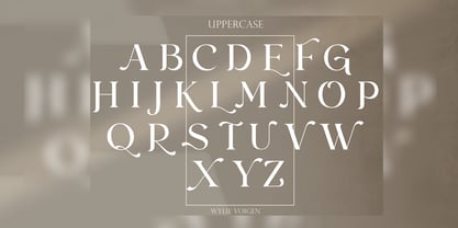 Wylie Voigen Font Poster 2