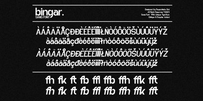 Bingar Font Poster 10