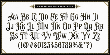 NS Emhericans Font Poster 3