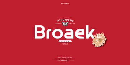 Broaek Font Poster 1