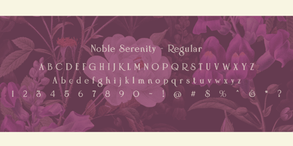 Noble Serenity Font Poster 5