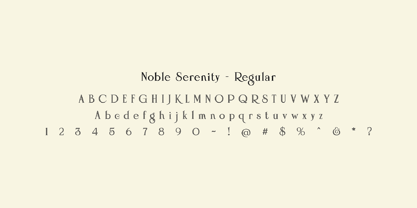 Noble Serenity Font Poster 6