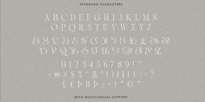 Luxury Charm Font Poster 9