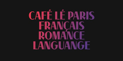 MC Parize Display Font Font Poster 2