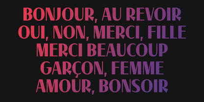 MC Parize Display Font Font Poster 3