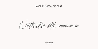 Modern Nostalgic Font Poster 3