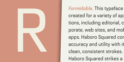 Haboro Squared Font Poster 3