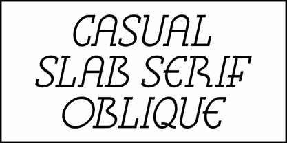 Casual Slab Serif JNL Font Poster 4
