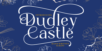 Dudley Castle Fuente Póster 1