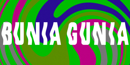 Bunia Gunia Font Poster 7