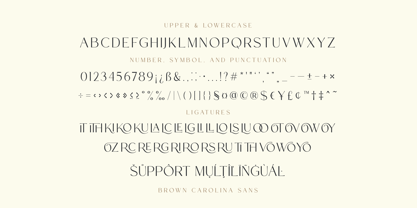 Brown Carolina Font Poster 12