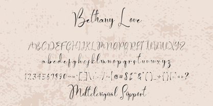 Bethany Love Police Poster 5