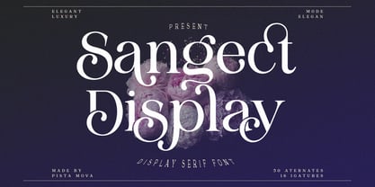 Sangect Display Font Poster 1