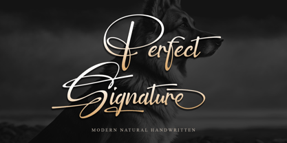 Perfect Signature Font Poster 1