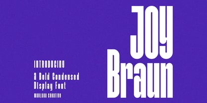 Joy Braun Font Poster 1