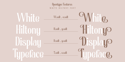 White Hiltony Font Poster 7