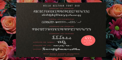 Besthan Script Font Poster 5