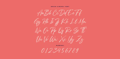 Brush Sinergi Font Poster 6